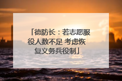 德防长：若志愿服役人数不足 考虑恢复义务兵役制