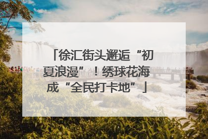 徐汇街头邂逅“初夏浪漫”！绣球花海成“全民打卡地”