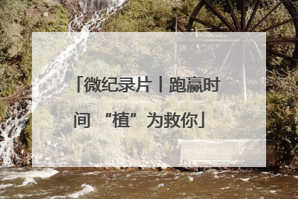 微纪录片丨跑赢时间 “植”为救你