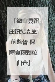 微山县留庄镇纪委靠前监督 保障夏粮颗粒归仓