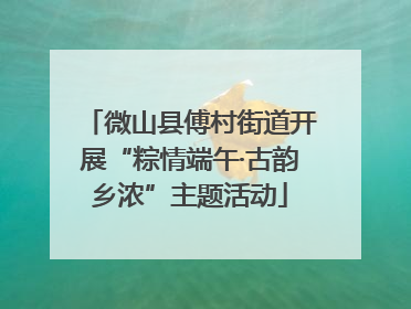 微山县傅村街道开展“粽情端午·古韵乡浓”主题活动