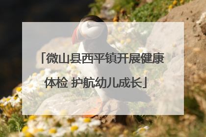 微山县西平镇开展健康体检 护航幼儿成长
