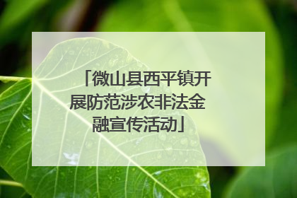 微山县西平镇开展防范涉农非法金融宣传活动