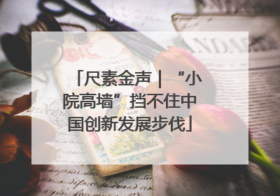尺素金声｜“小院高墙”挡不住中国创新发展步伐
