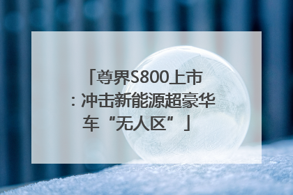 尊界S800上市：冲击新能源超豪华车“无人区”