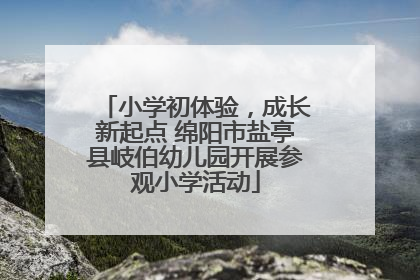 小学初体验，成长新起点 绵阳市盐亭县岐伯幼儿园开展参观小学活动
