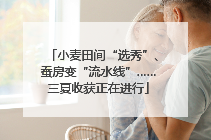 小麦田间“选秀”、蚕房变“流水线”……三夏收获正在进行