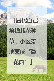 居民自己筹钱栽花种草，小区荒地变成“微花园”