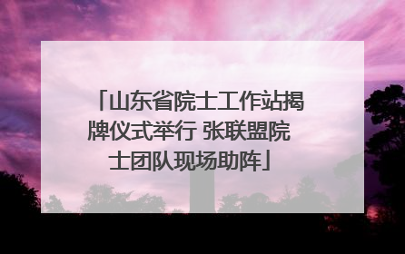 山东省院士工作站揭牌仪式举行 张联盟院士团队现场助阵