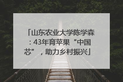 山东农业大学陈学森：43年育苹果“中国芯”，助力乡村振兴