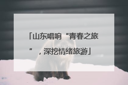 山东唱响“青春之旅”，深挖情绪旅游