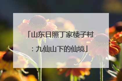 山东日照丁家楼子村：九仙山下的仙境