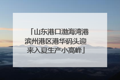 山东港口渤海湾港滨州港区港华码头迎来入夏生产小高峰