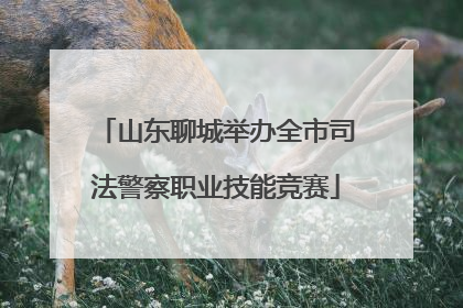 山东聊城举办全市司法警察职业技能竞赛