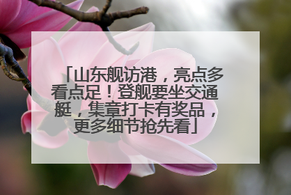 山东舰访港，亮点多看点足！登舰要坐交通艇，集章打卡有奖品，更多细节抢先看