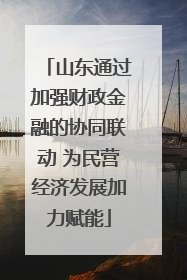 山东通过加强财政金融的协同联动 为民营经济发展加力赋能
