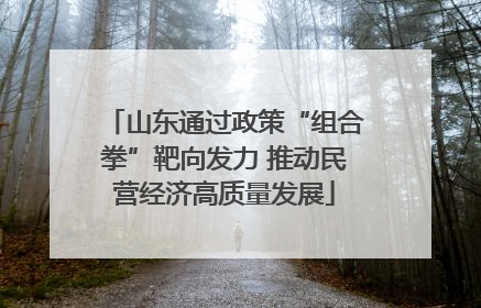 山东通过政策“组合拳”靶向发力 推动民营经济高质量发展