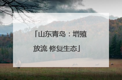 山东青岛：增殖放流 修复生态