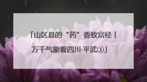 山区县的“药”香致富经丨万千气象看四川·平武③