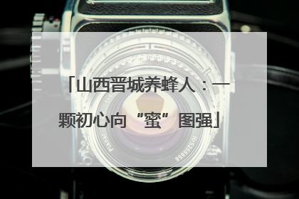 山西晋城养蜂人：一颗初心向“蜜”图强