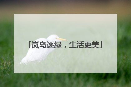 岚岛逐绿，生活更美
