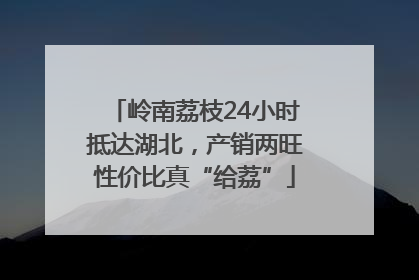 岭南荔枝24小时抵达湖北，产销两旺性价比真“给荔”