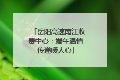 岳阳高速南江收费中心：端午温情传递暖人心