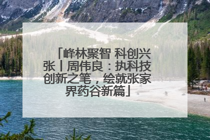 峰林聚智 科创兴张丨周伟良：执科技创新之笔，绘就张家界药谷新篇