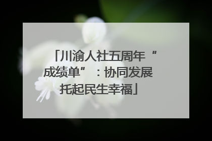 川渝人社五周年“成绩单”：协同发展托起民生幸福