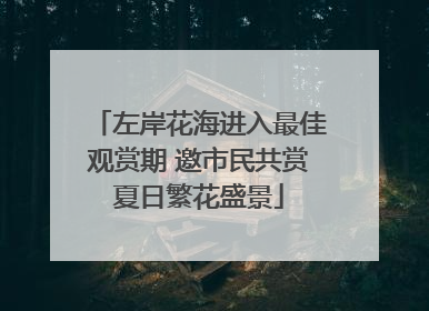 左岸花海进入最佳观赏期 邀市民共赏夏日繁花盛景