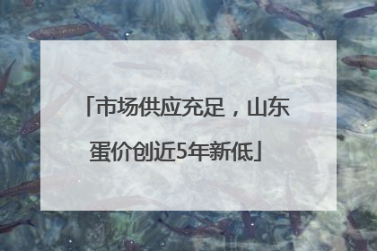 市场供应充足，山东蛋价创近5年新低