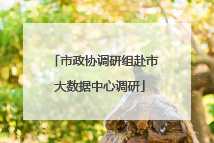 市政协调研组赴市大数据中心调研