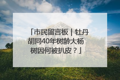市民留言板｜牡丹胡同40年树龄大杨树因何被扒皮？