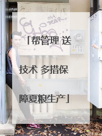 帮管理 送技术 多措保障夏粮生产