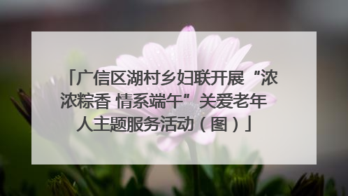 广信区湖村乡妇联开展“浓浓粽香 情系端午”关爱老年人主题服务活动（图）