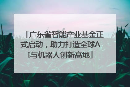 广东省智能产业基金正式启动，助力打造全球AI与机器人创新高地