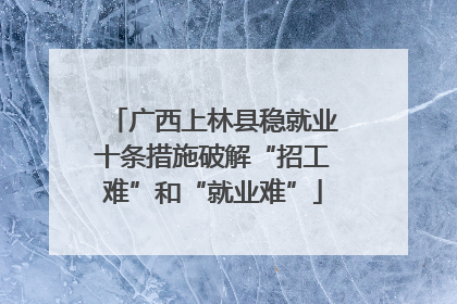广西上林县稳就业十条措施破解“招工难”和“就业难”