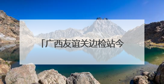 广西友谊关边检站今年累计验放出入境人员超150万人次