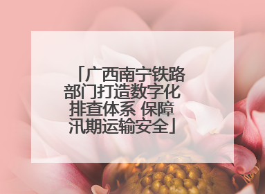 广西南宁铁路部门打造数字化排查体系 保障汛期运输安全