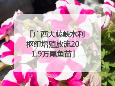 广西大藤峡水利枢纽增殖放流201.9万尾鱼苗