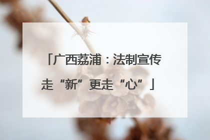 广西荔浦：法制宣传走“新”更走“心”