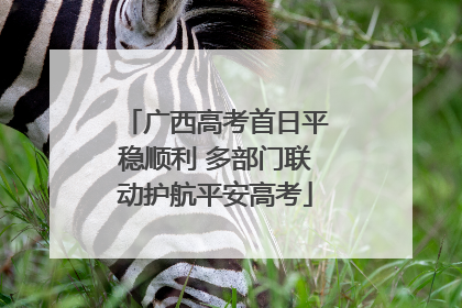 广西高考首日平稳顺利 多部门联动护航平安高考