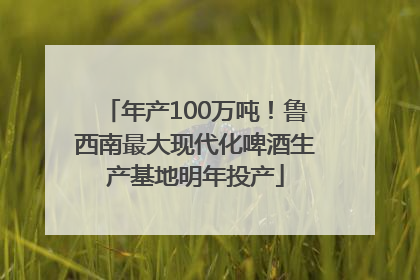 年产100万吨！鲁西南最大现代化啤酒生产基地明年投产