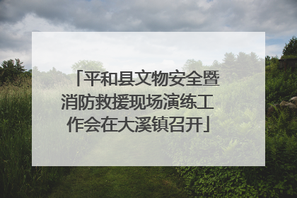 平和县文物安全暨消防救援现场演练工作会在大溪镇召开