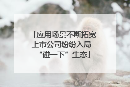 应用场景不断拓宽 上市公司纷纷入局“碰一下”生态