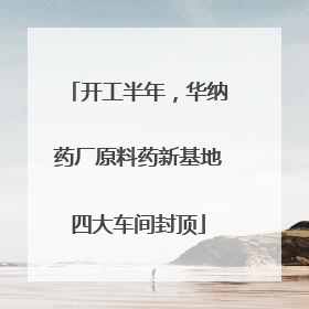 开工半年，华纳药厂原料药新基地四大车间封顶
