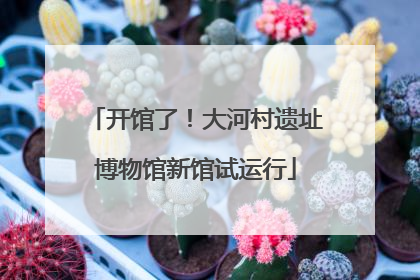 开馆了！大河村遗址博物馆新馆试运行