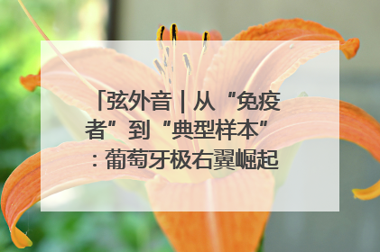 弦外音｜从“免疫者”到“典型样本”：葡萄牙极右翼崛起背后的欧洲困局