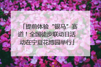 提前体验“银马”赛道！全国徒步联动日活动在宁夏花博园举行