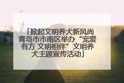 掀起文明养犬新风尚 青岛市市南区举办“宠爱有方 文明相伴”文明养犬主题宣传活动